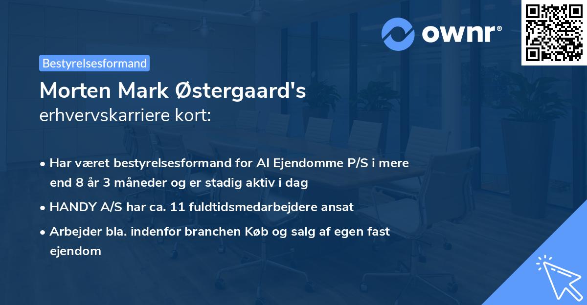 Morten Mark Østergaard's erhvervskarriere kort