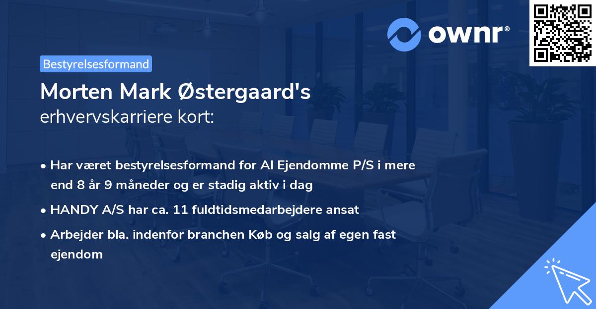 Morten Mark Østergaard's erhvervskarriere kort