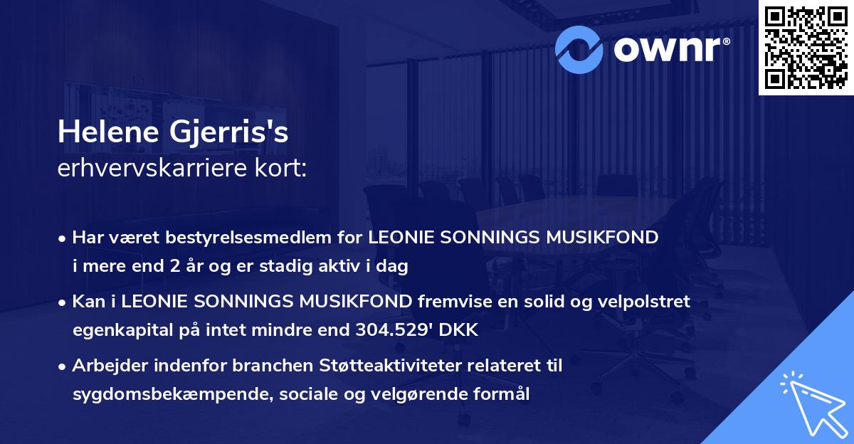 Helene Gjerris's erhvervskarriere kort