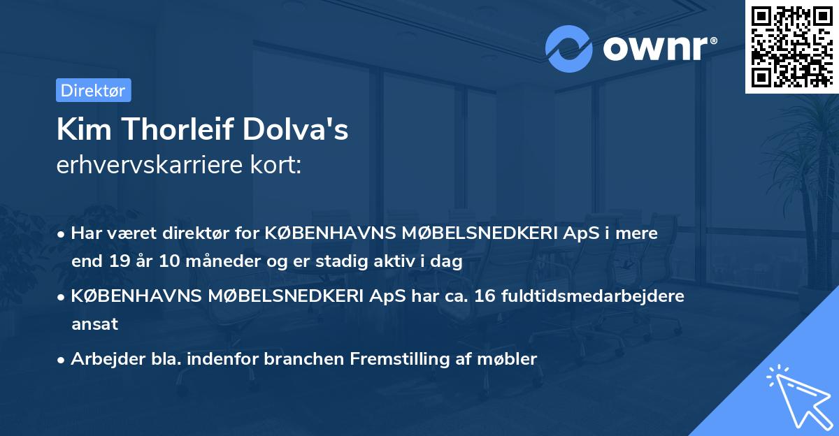 Kim Thorleif Dolva's erhvervskarriere kort