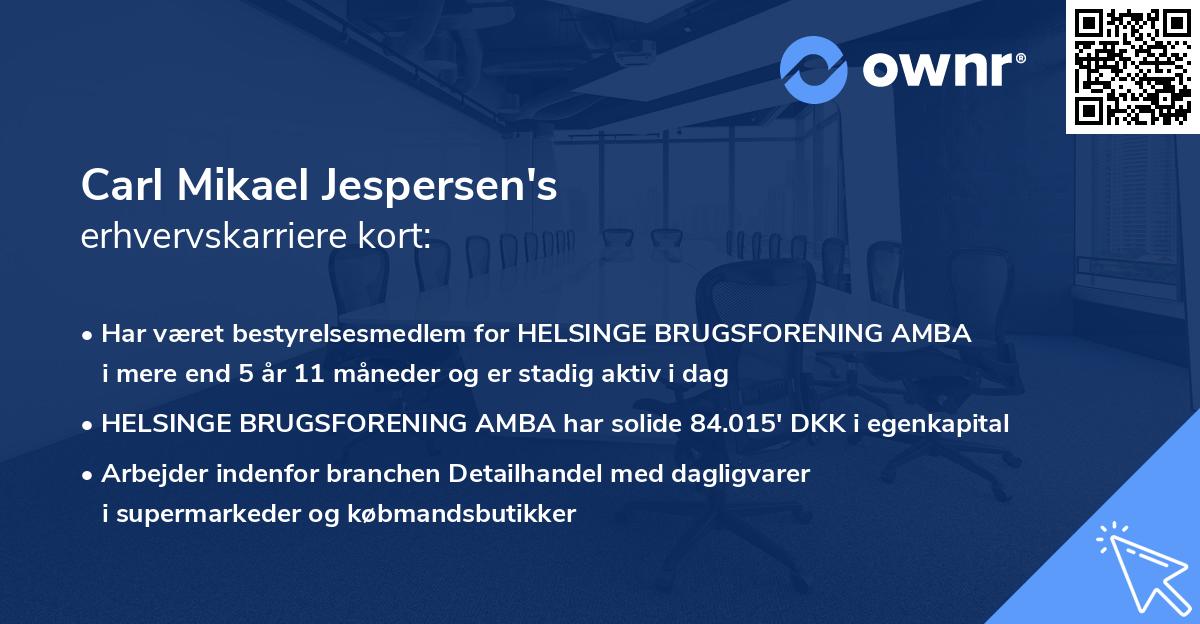 Carl Mikael Jespersen's erhvervskarriere kort