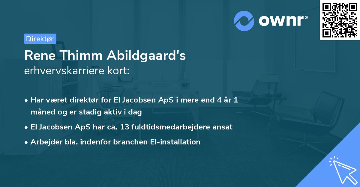 Rene Thimm Abildgaard's erhvervskarriere kort