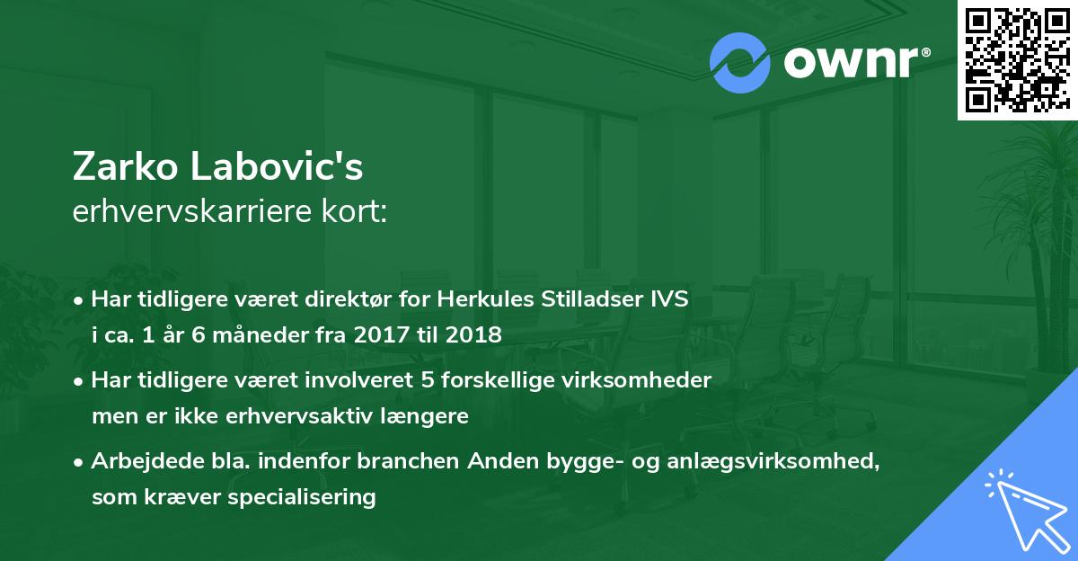 Zarko Labovic's erhvervskarriere kort