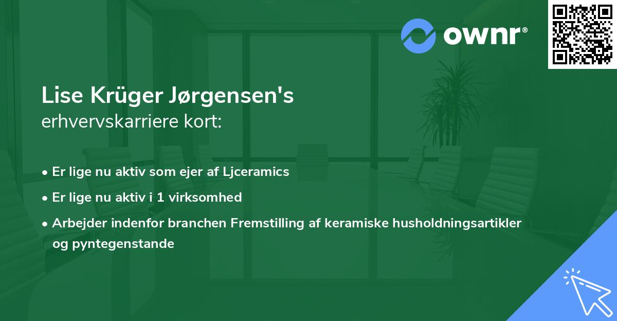 Lise Krüger Jørgensen's erhvervskarriere kort