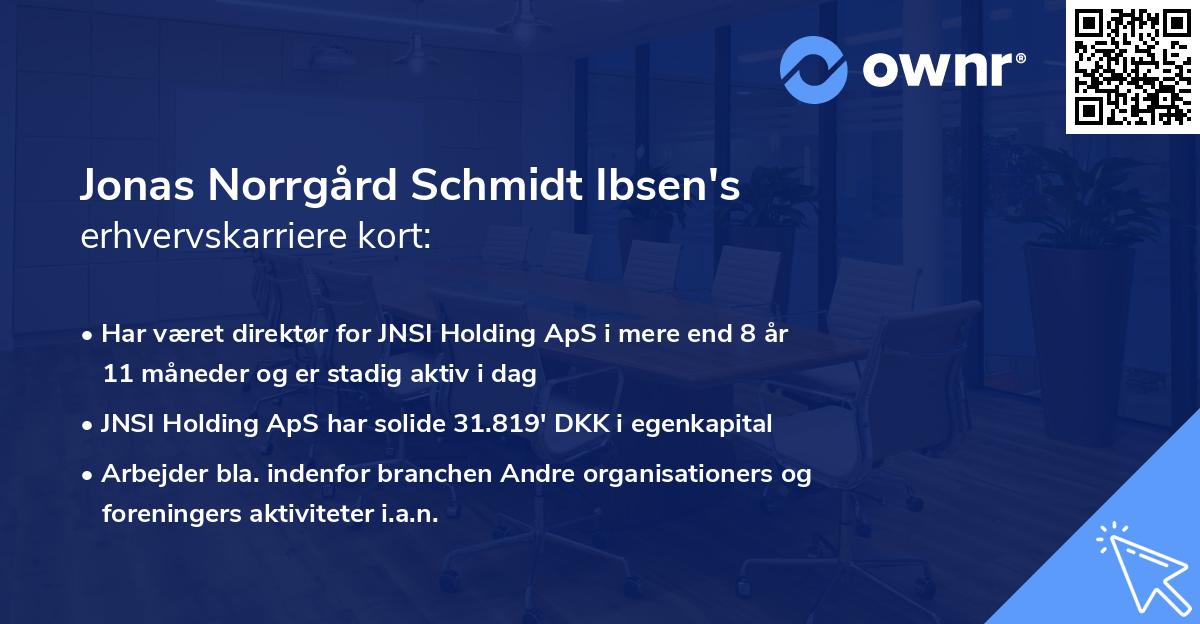 Jonas Norrgård Schmidt Ibsen's erhvervskarriere kort