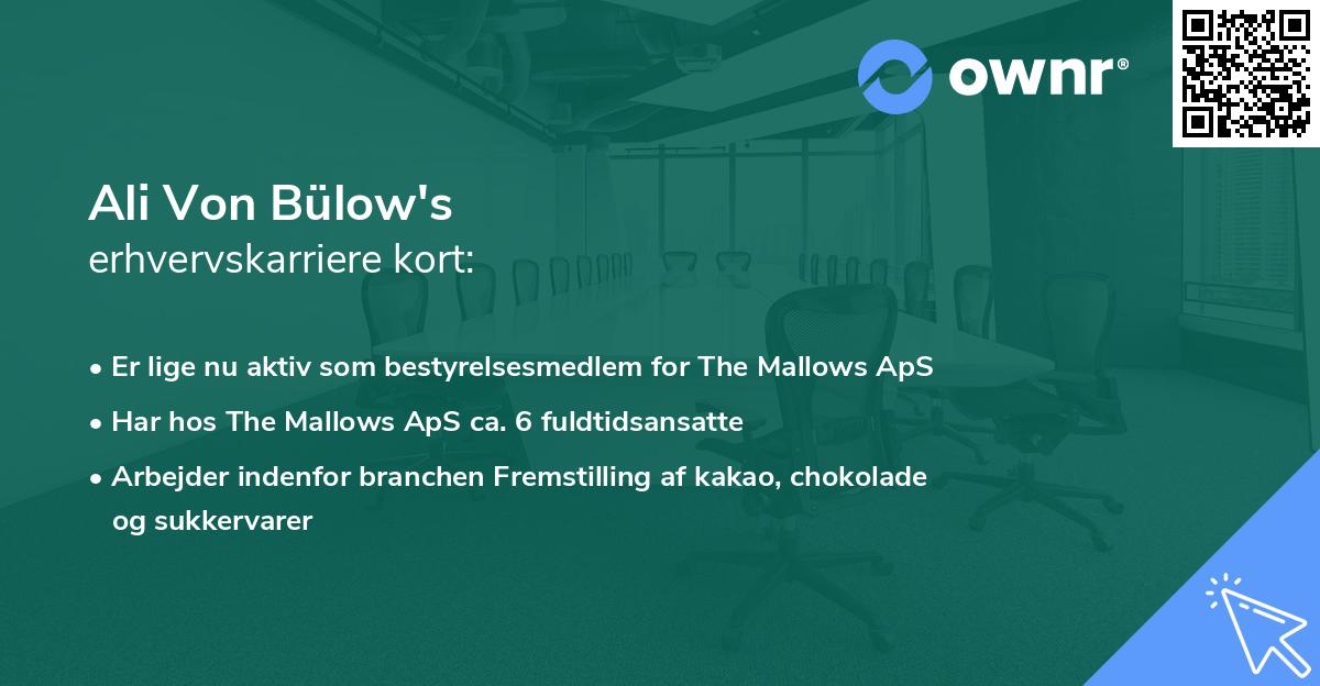 Ali Von Bülow's erhvervskarriere kort