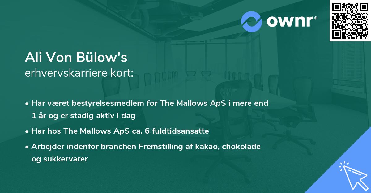 Ali Von Bülow's erhvervskarriere kort