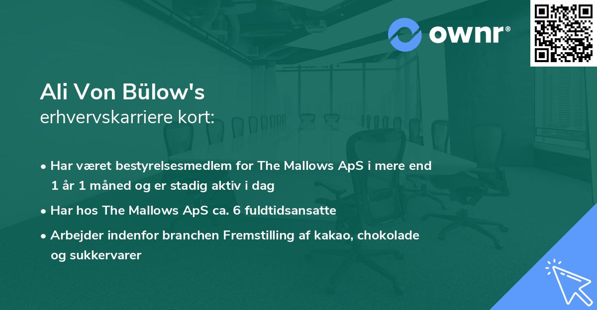 Ali Von Bülow's erhvervskarriere kort
