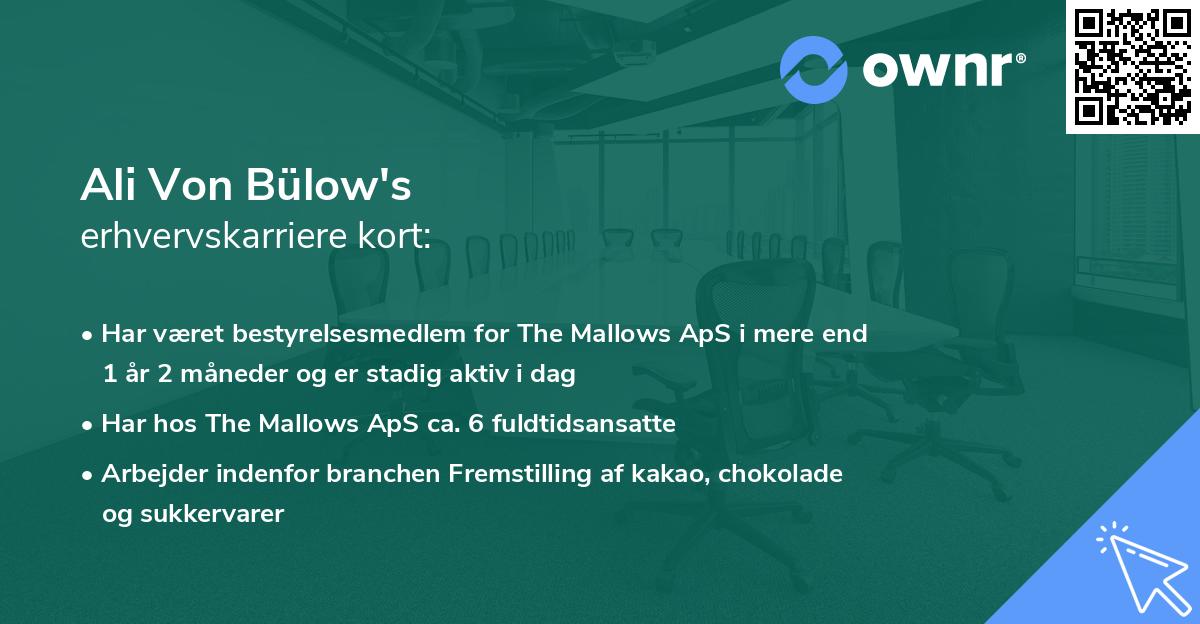 Ali Von Bülow's erhvervskarriere kort
