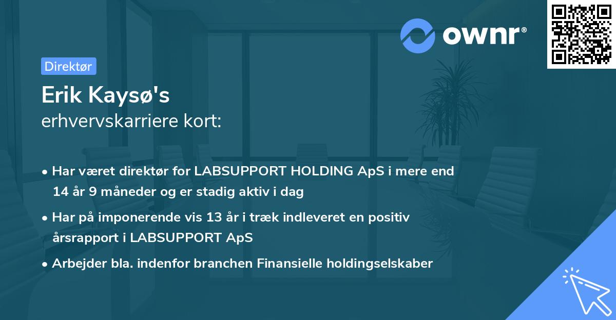 Erik Kaysø's erhvervskarriere kort
