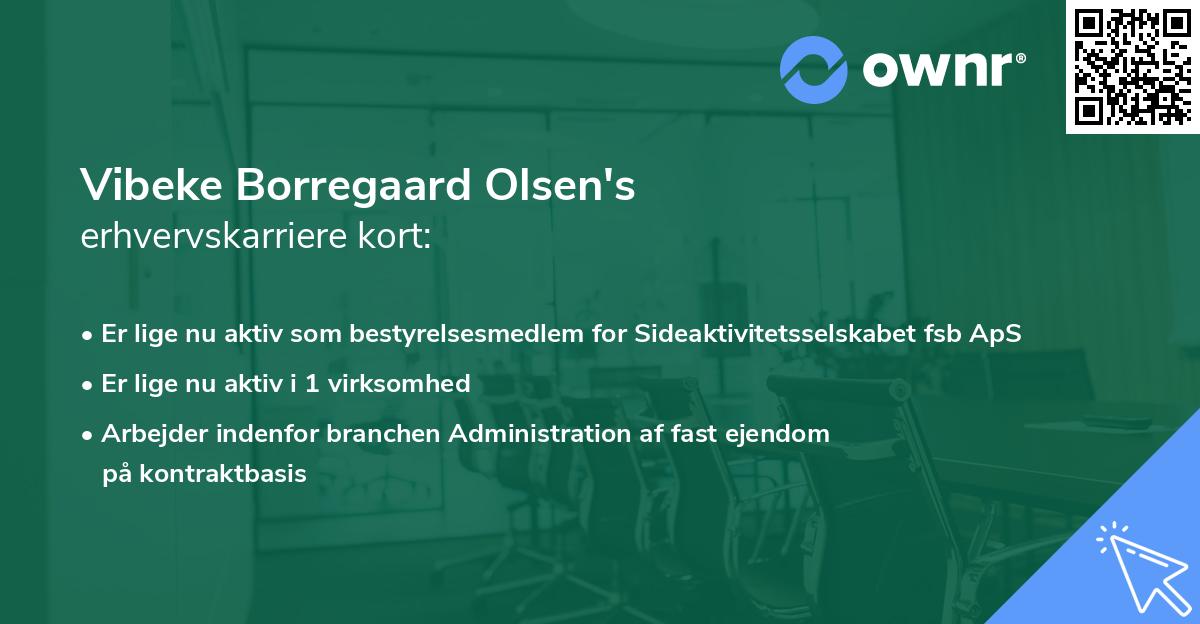 Vibeke Borregaard Olsen's erhvervskarriere kort