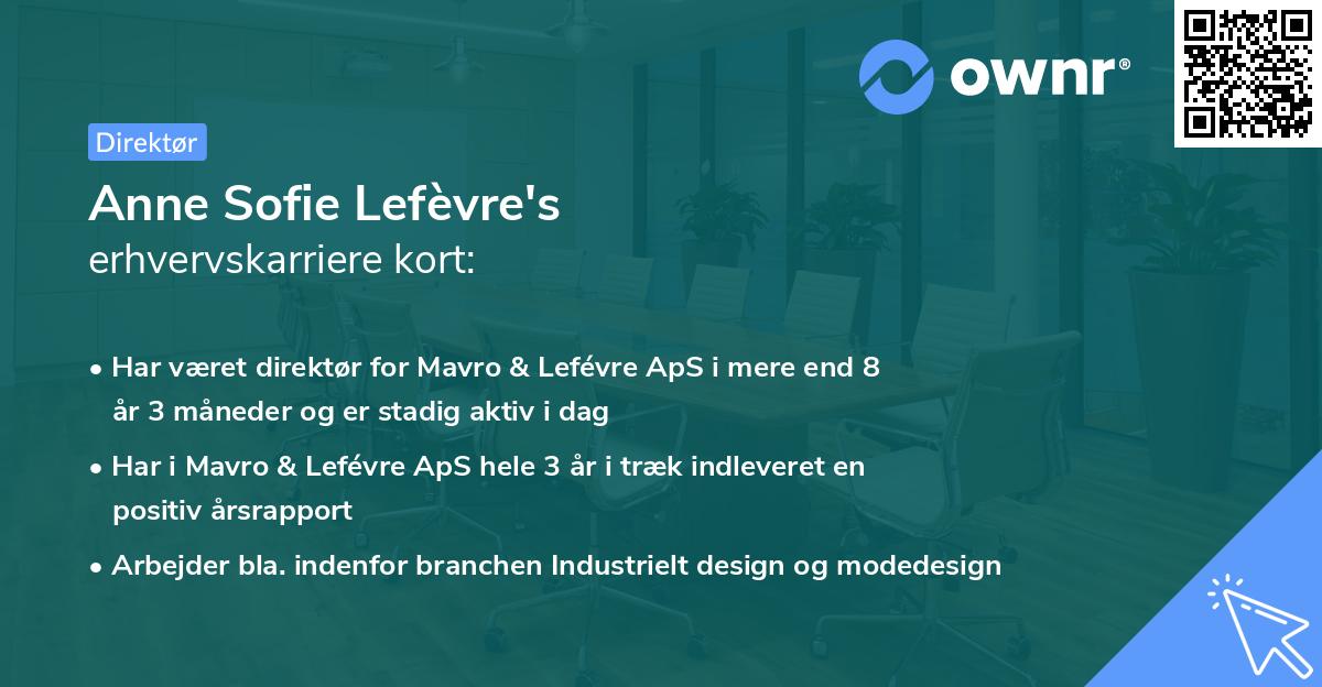 Anne Sofie Lefèvre's erhvervskarriere kort