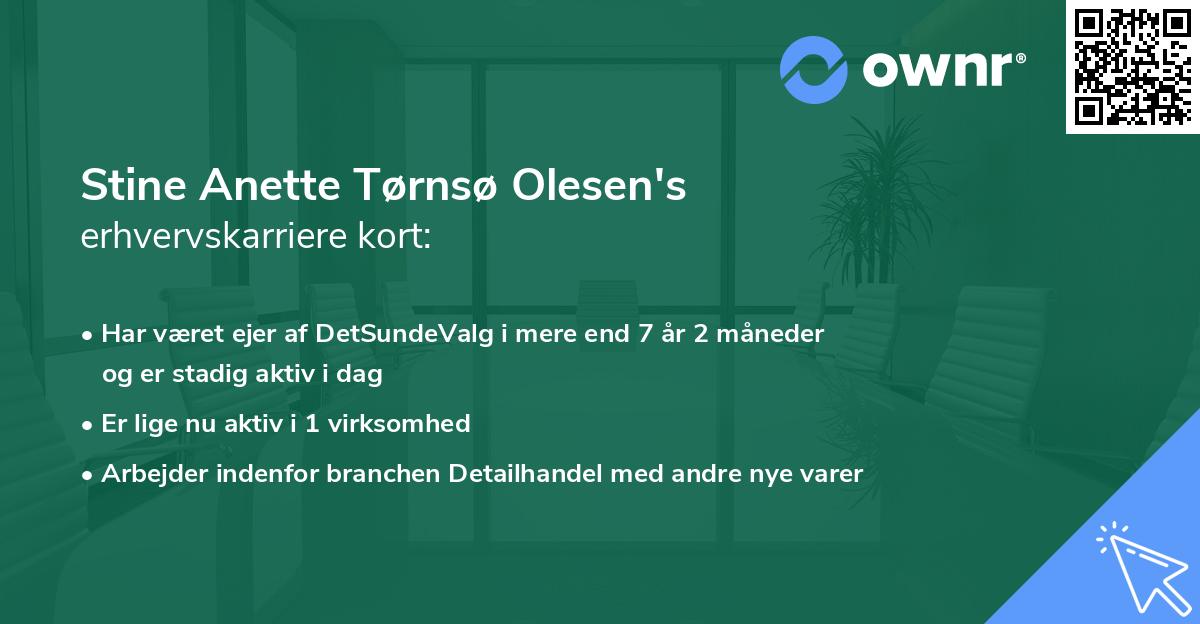Stine Anette Tørnsø Olesen's erhvervskarriere kort