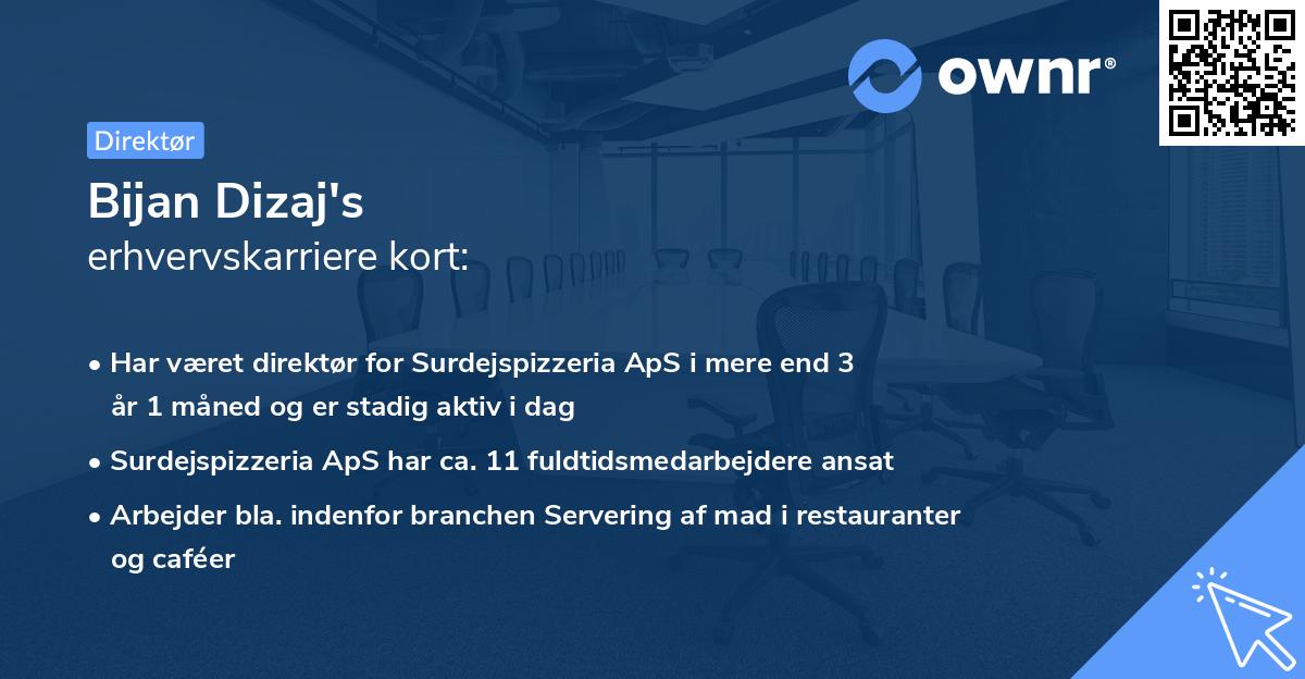 Bijan Dizaj's erhvervskarriere kort