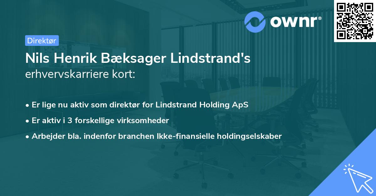 Nils Henrik Bæksager Lindstrand's erhvervskarriere kort