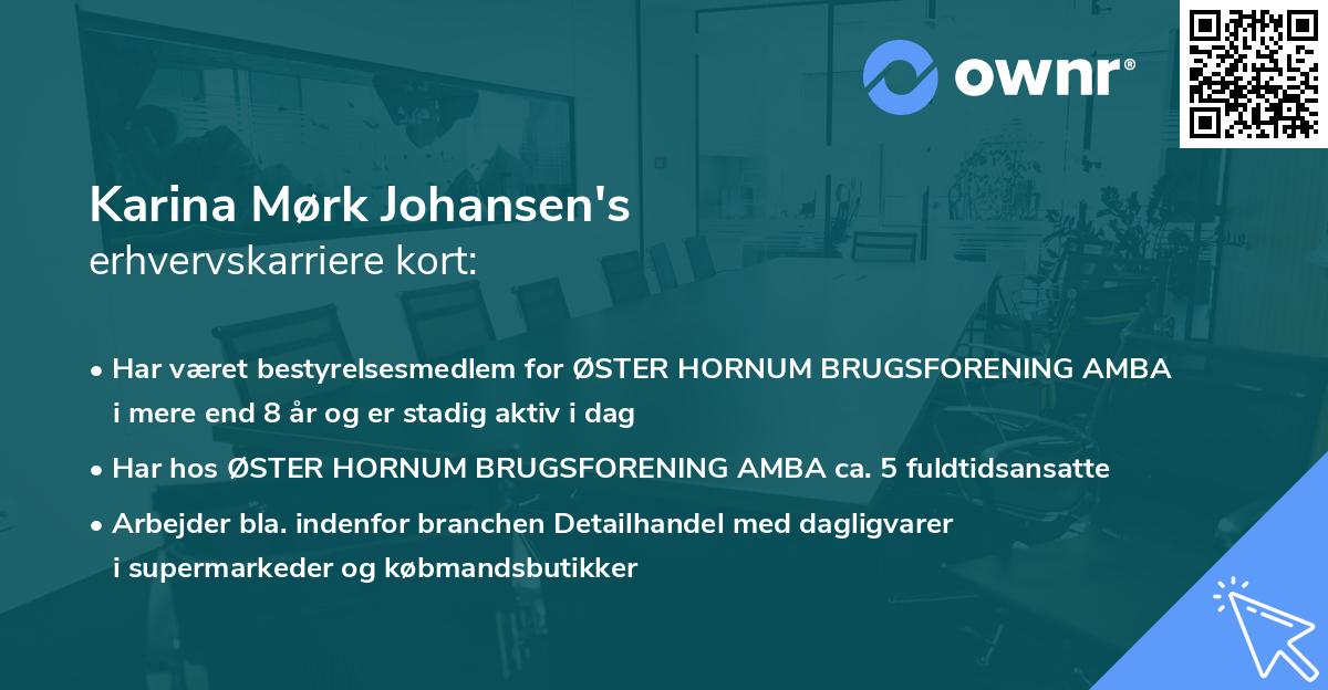 Karina Mørk Johansen's erhvervskarriere kort