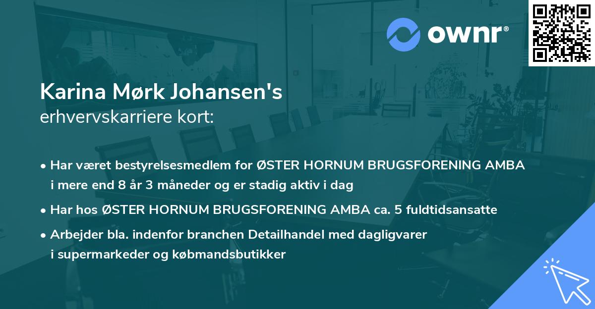 Karina Mørk Johansen's erhvervskarriere kort