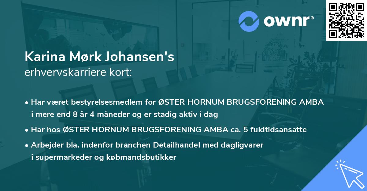 Karina Mørk Johansen's erhvervskarriere kort