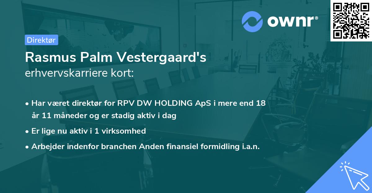 Rasmus Palm Vestergaard's erhvervskarriere kort