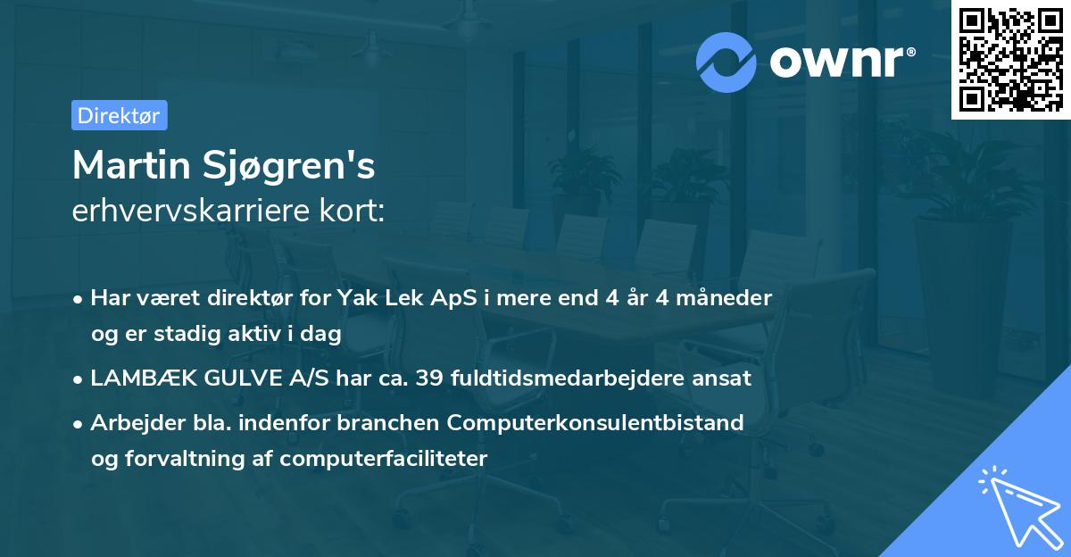 Martin Sjøgren's erhvervskarriere kort