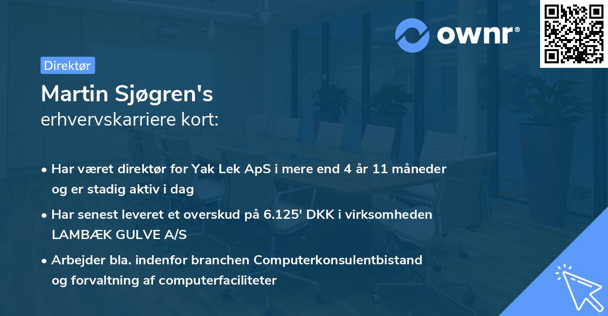 Martin Sjøgren's erhvervskarriere kort