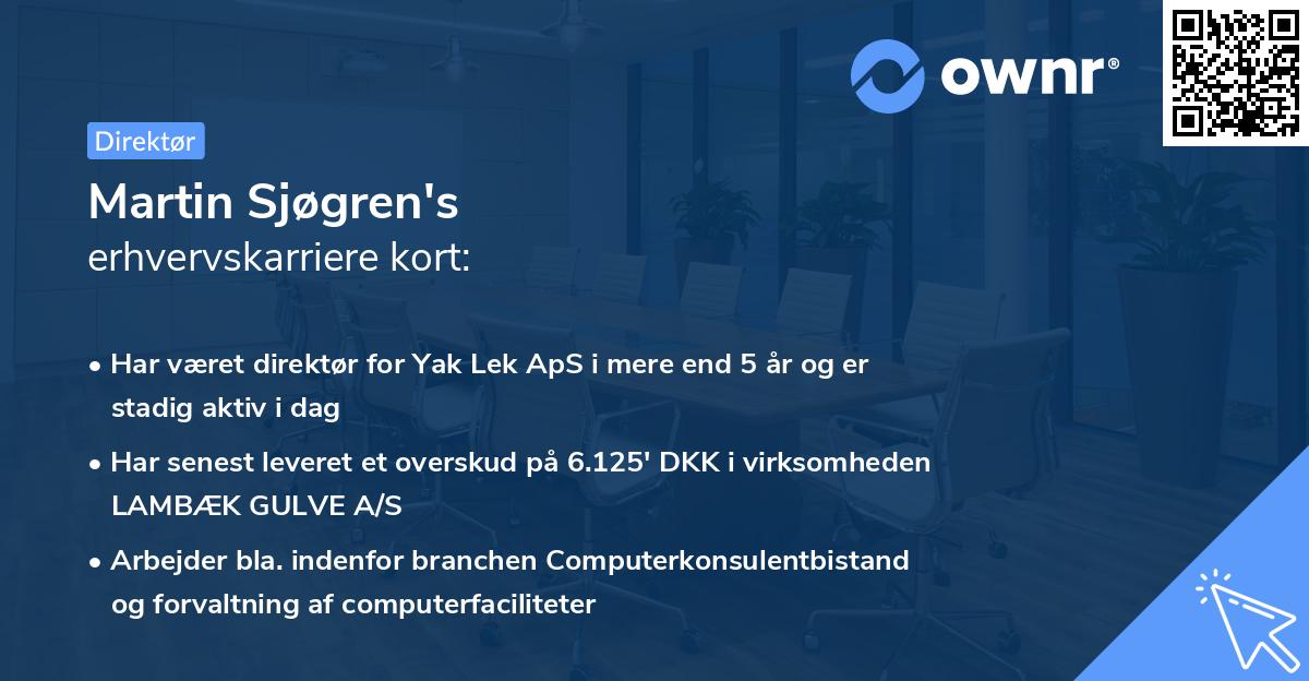Martin Sjøgren's erhvervskarriere kort