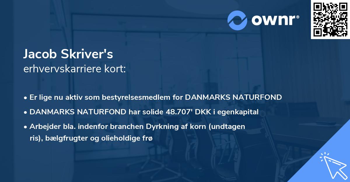 Jacob Skriver's erhvervskarriere kort