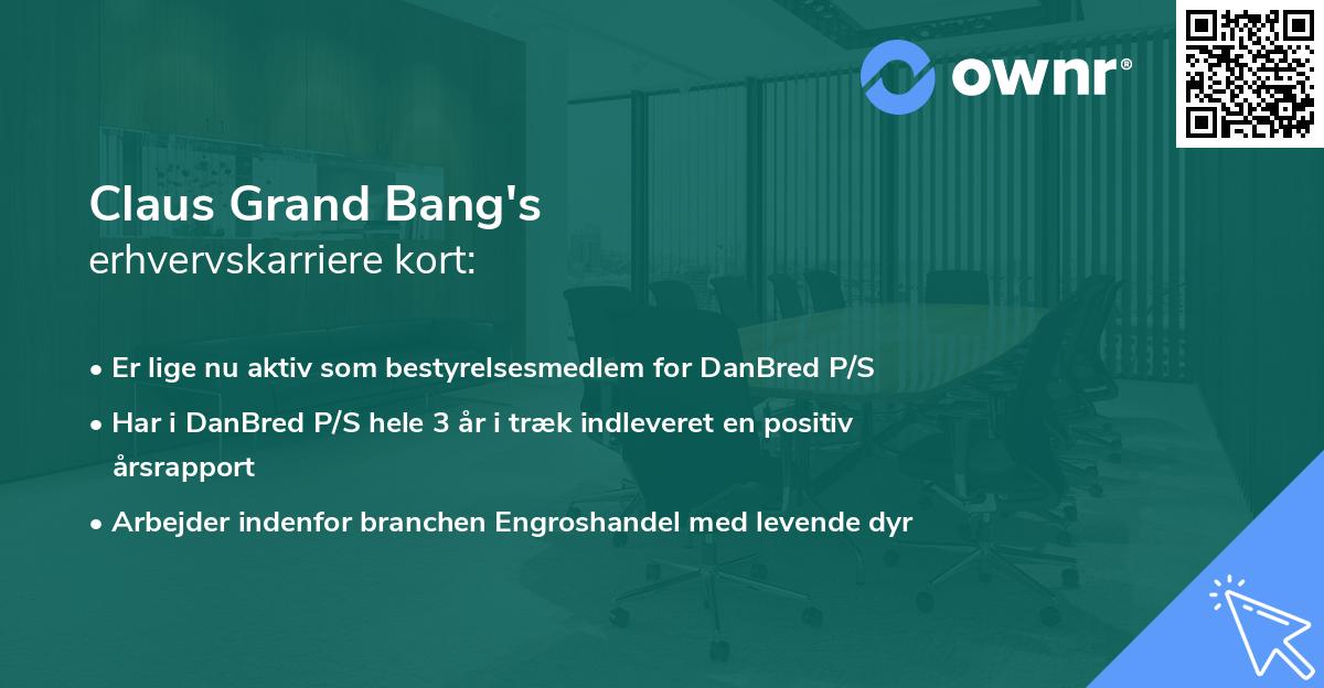 Claus Grand Bang's erhvervskarriere kort