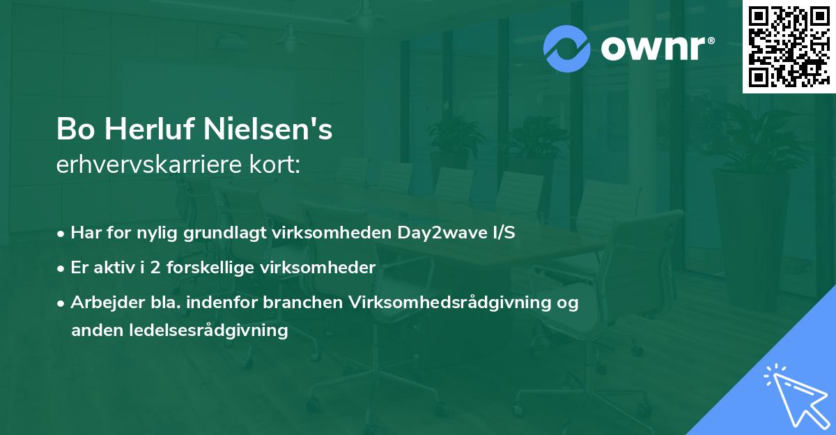 Bo Herluf Nielsen's erhvervskarriere kort