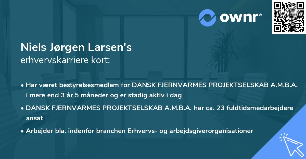 Niels Jørgen Larsen's erhvervskarriere kort