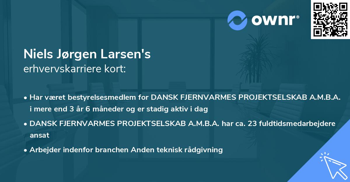 Niels Jørgen Larsen's erhvervskarriere kort