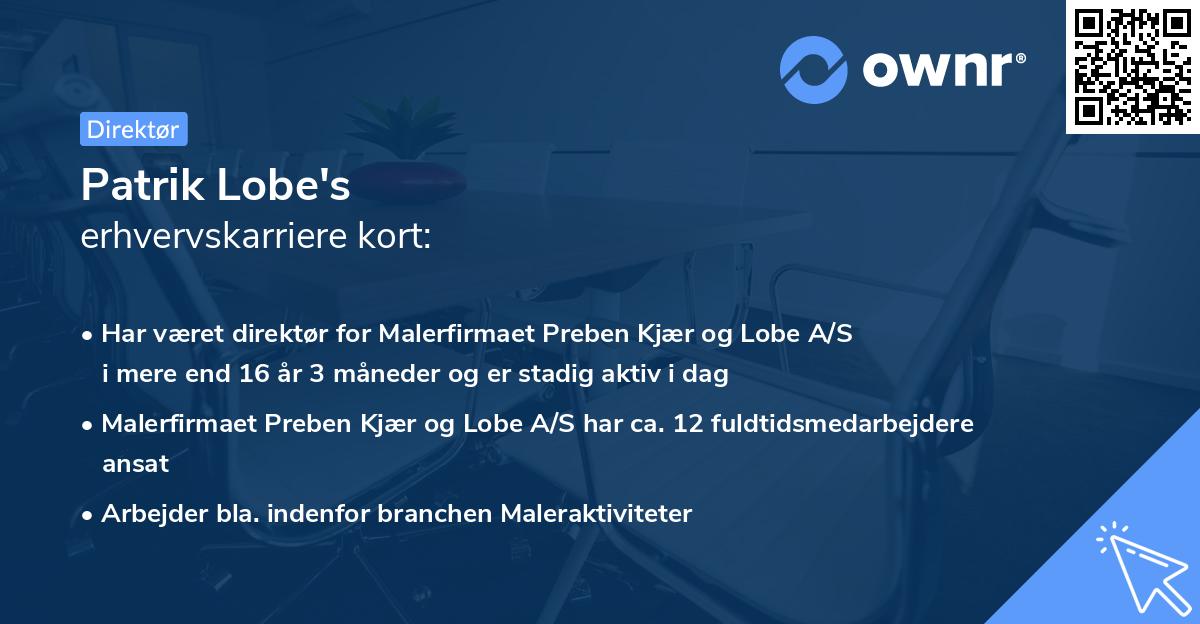 Patrik Lobe's erhvervskarriere kort