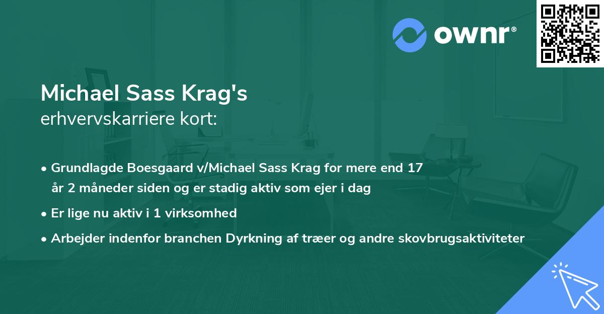 Michael Sass Krag's erhvervskarriere kort