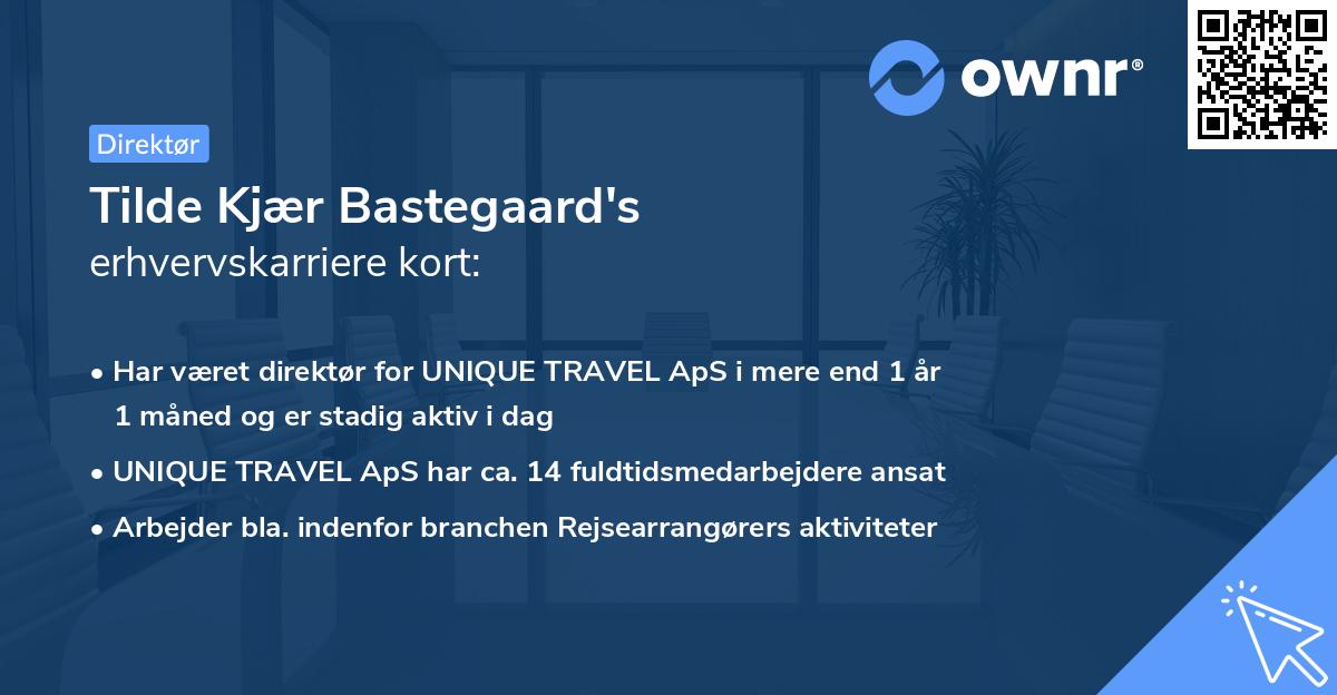 Tilde Kjær Bastegaard's erhvervskarriere kort