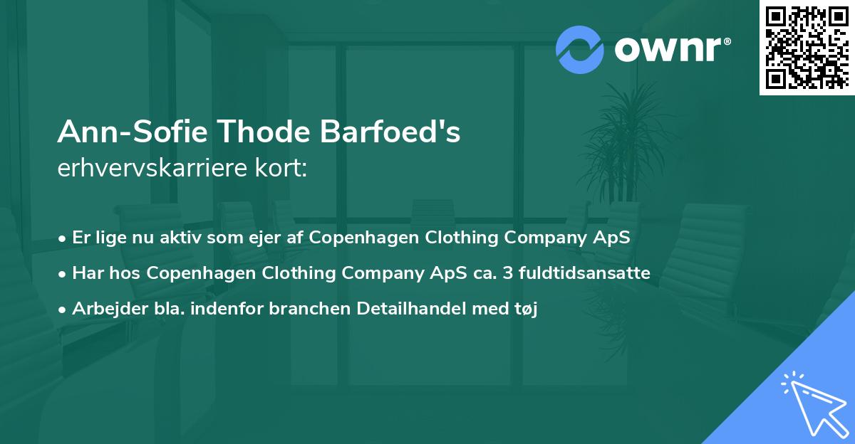 Ann-Sofie Thode Barfoed's erhvervskarriere kort