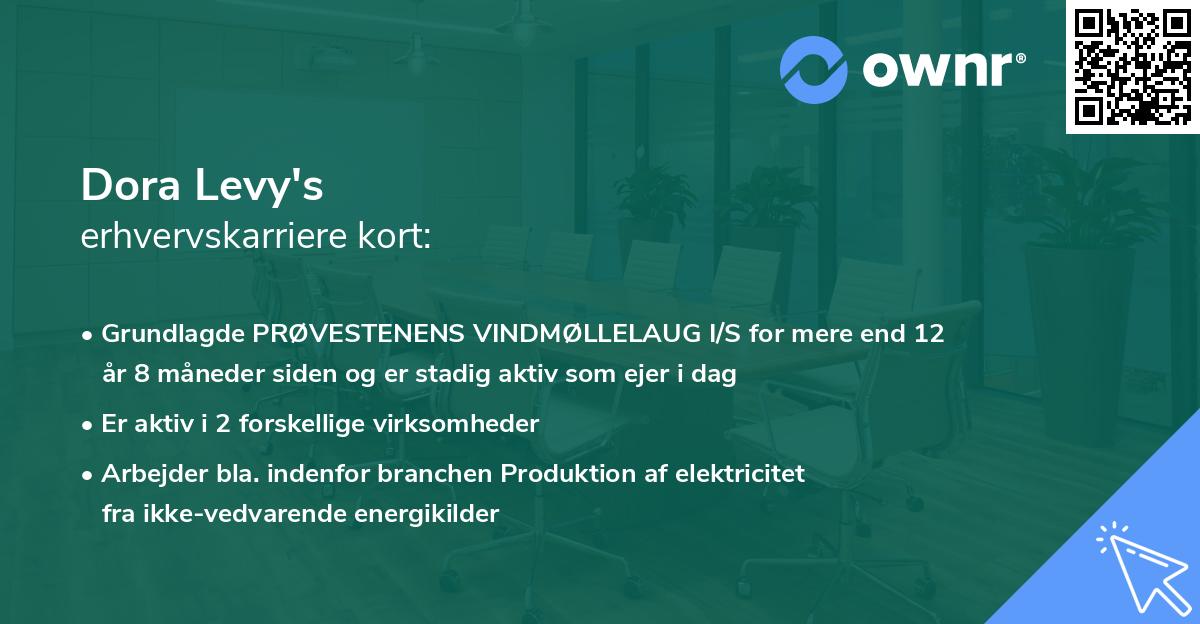 Dora Levy's erhvervskarriere kort