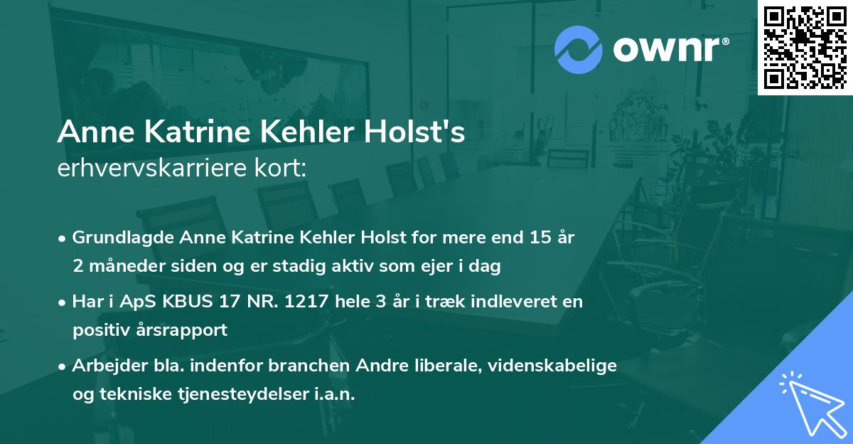 Anne Katrine Kehler Holst's erhvervskarriere kort