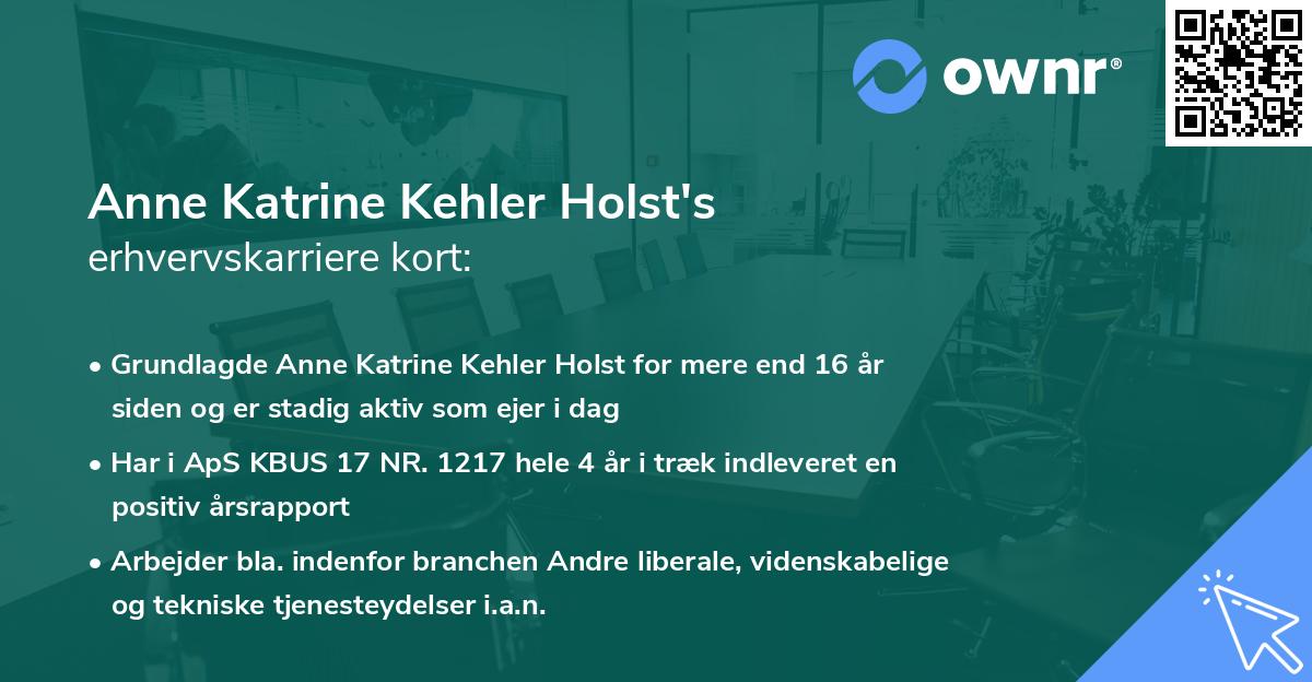 Anne Katrine Kehler Holst's erhvervskarriere kort