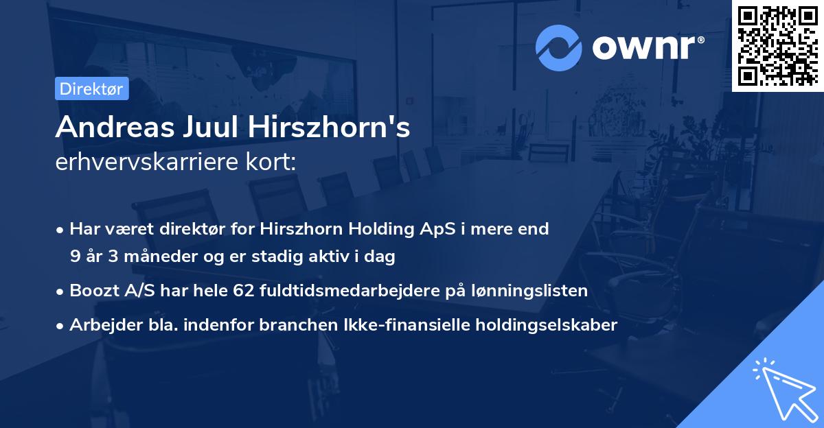 Andreas Juul Hirszhorn's erhvervskarriere kort