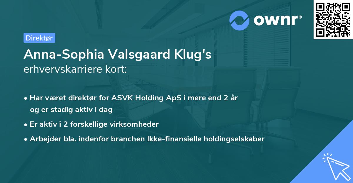 Anna-Sophia Valsgaard Klug's erhvervskarriere kort