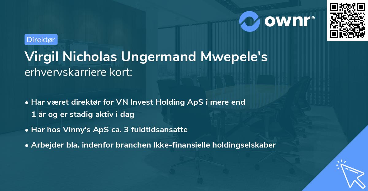 Virgil Nicholas Ungermand Mwepele's erhvervskarriere kort