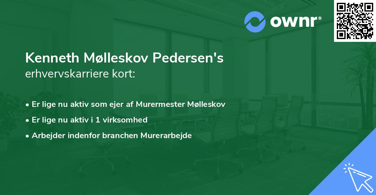 Kenneth Mølleskov Pedersen's erhvervskarriere kort