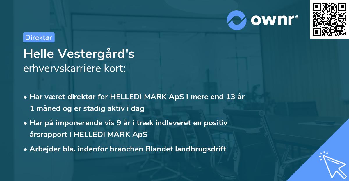 Helle Vestergård's erhvervskarriere kort