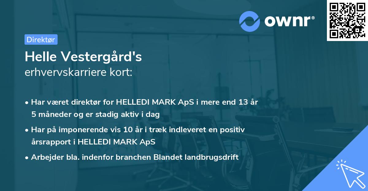 Helle Vestergård's erhvervskarriere kort