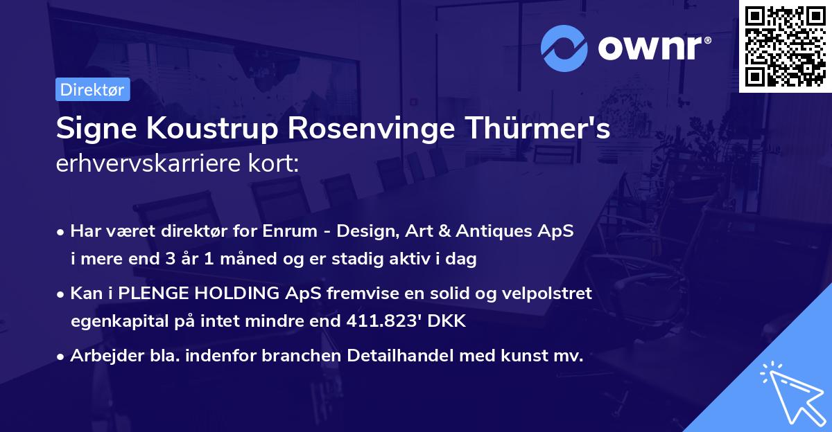 Signe Koustrup Rosenvinge Thürmer's erhvervskarriere kort