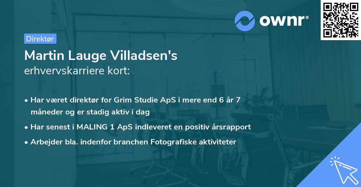Martin Lauge Villadsen's erhvervskarriere kort