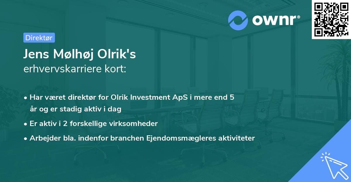 Jens Mølhøj Olrik's erhvervskarriere kort