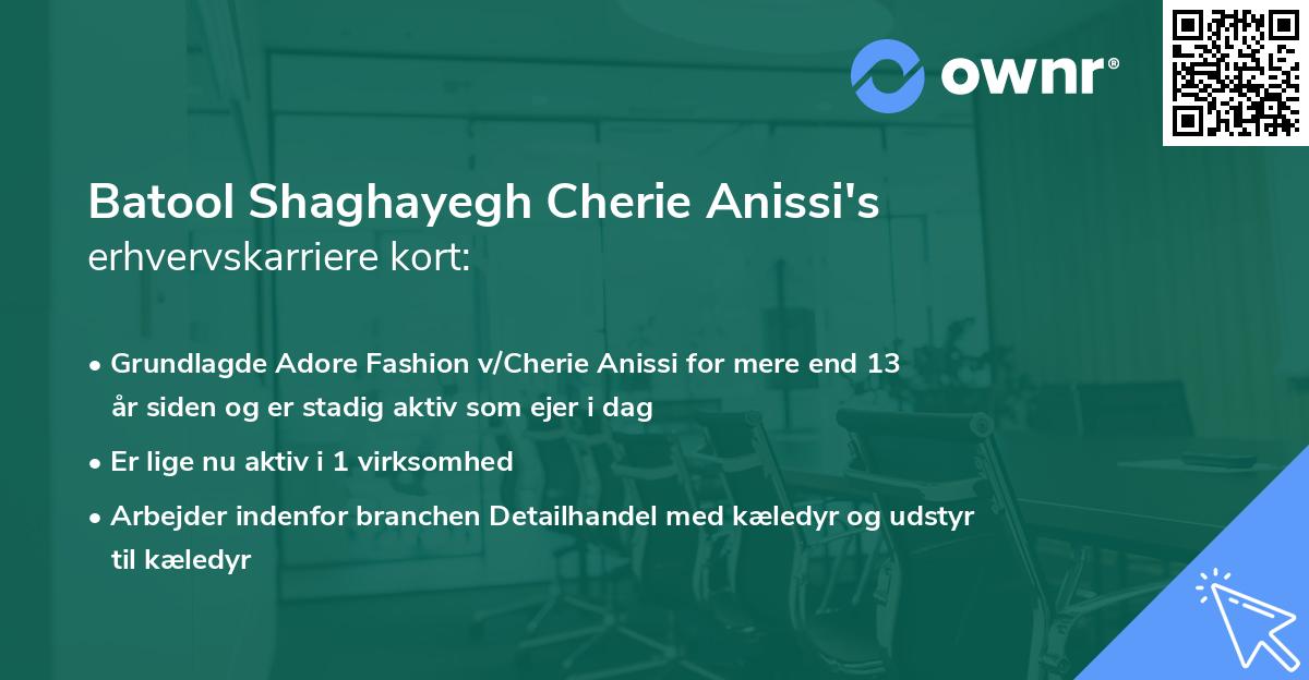 Batool Shaghayegh Cherie Anissi's erhvervskarriere kort