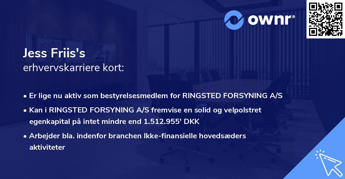 Jess Friis's erhvervskarriere kort