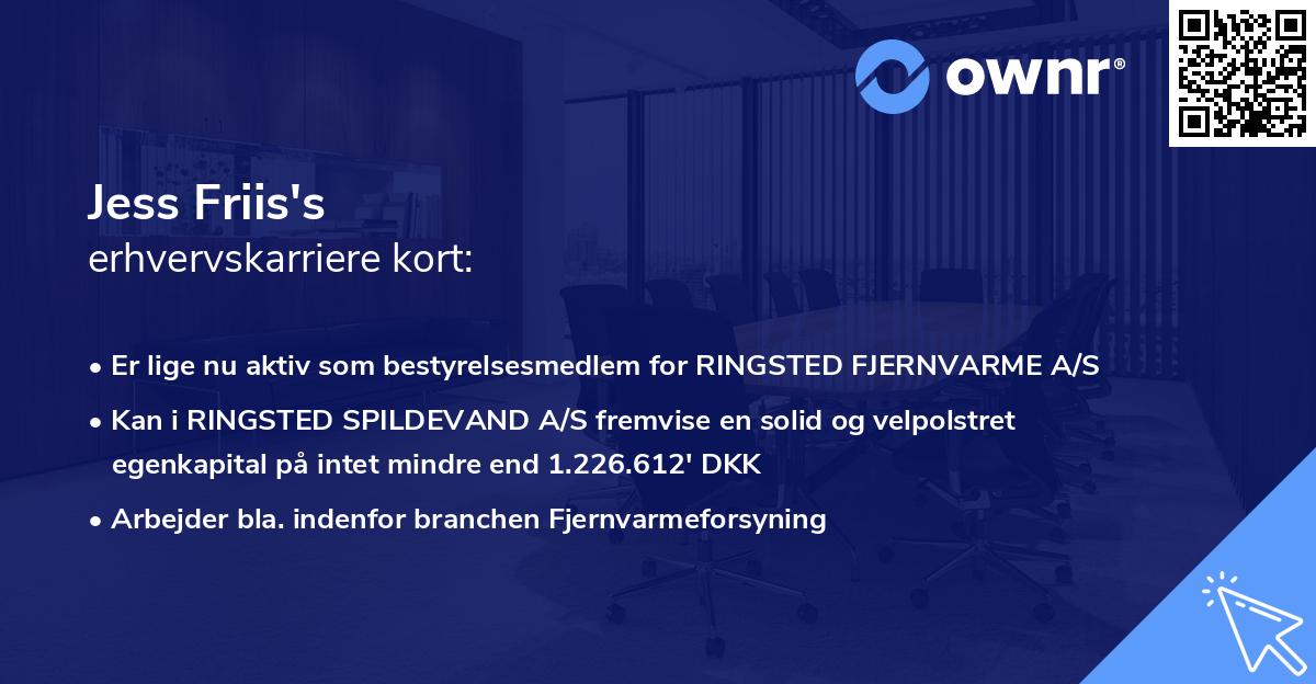 Jess Friis's erhvervskarriere kort